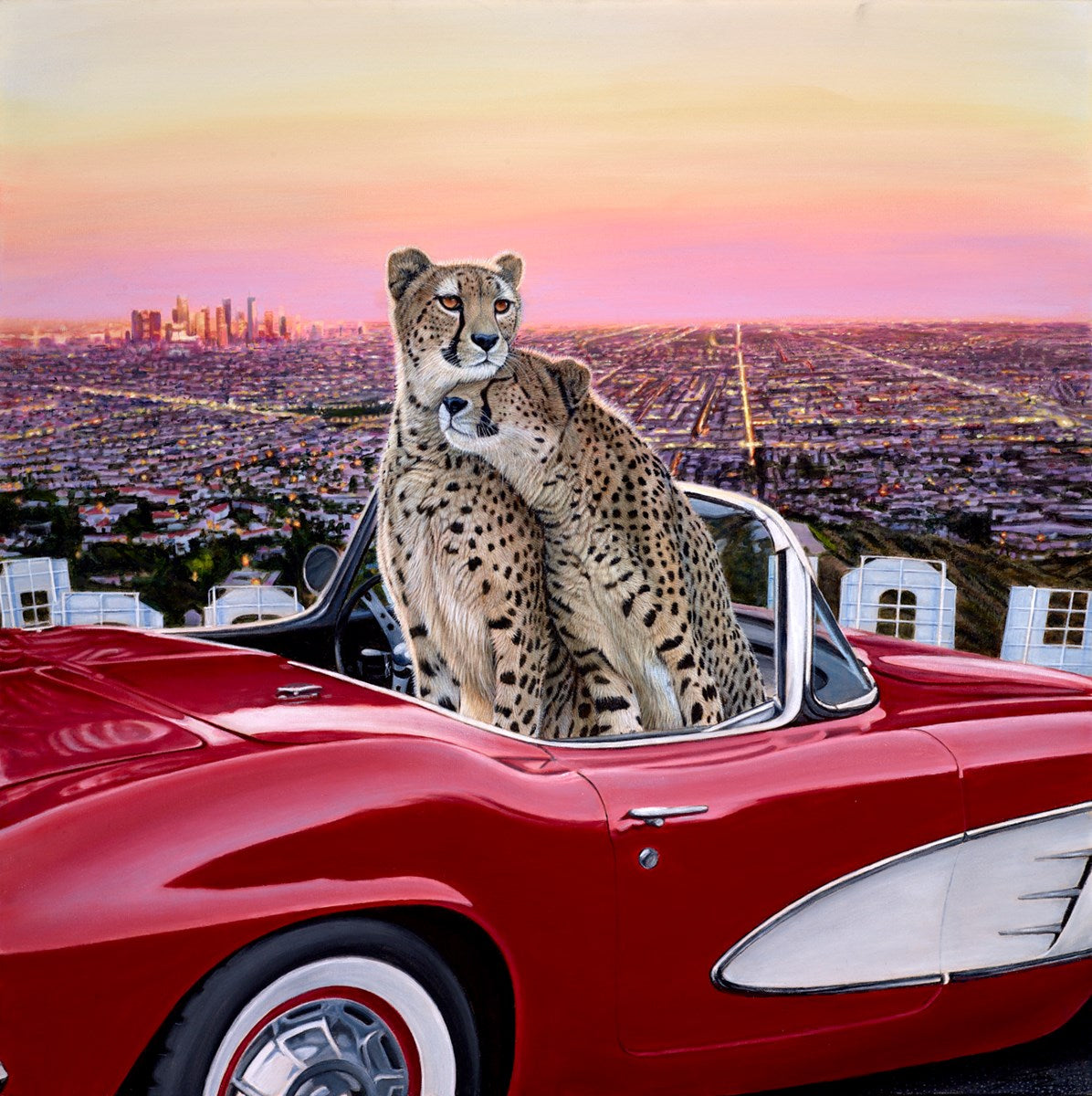 La La Land