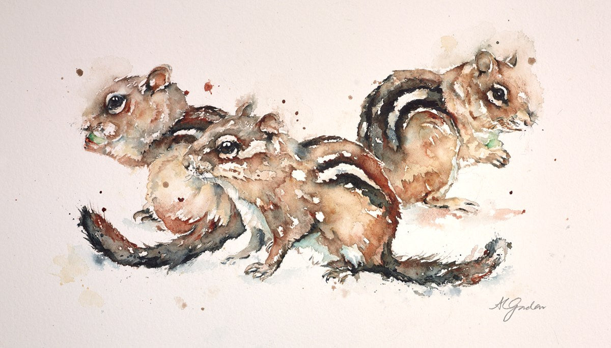 Trio of Chipmonks