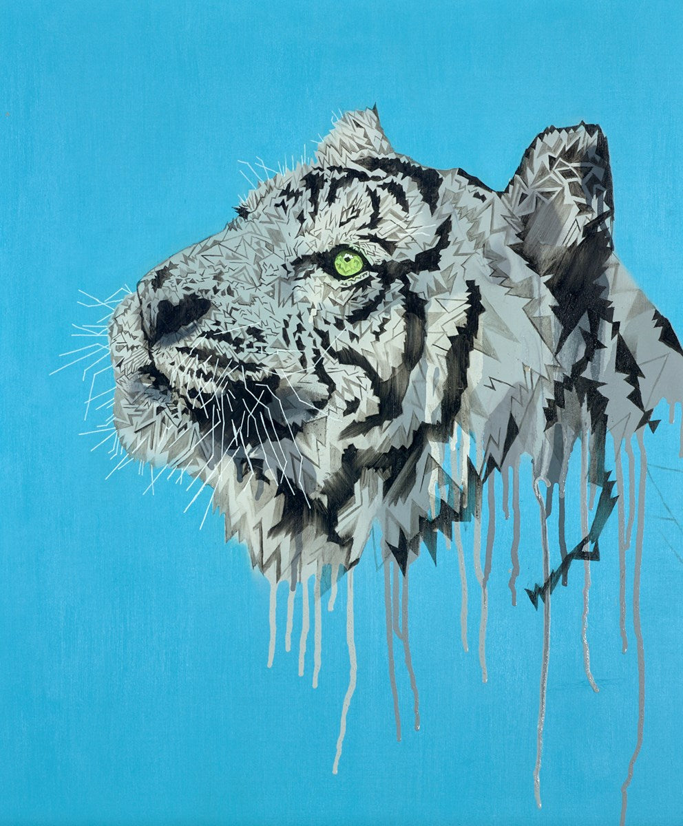 Tiger (On Light Blue) Study