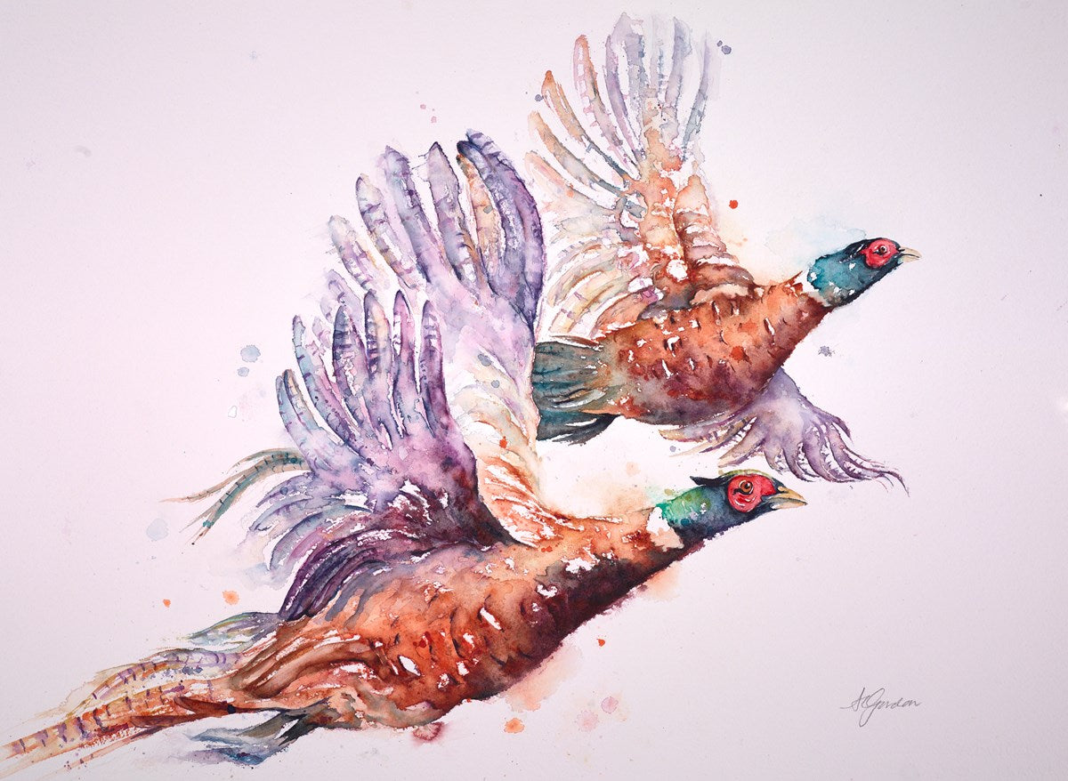 Take Off - Flying Pheasants