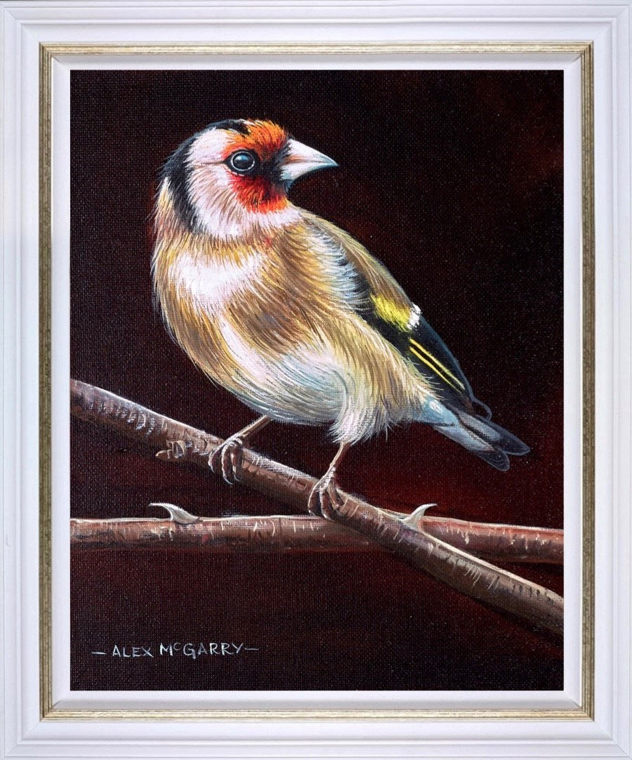 Goldfinch III (Framed)