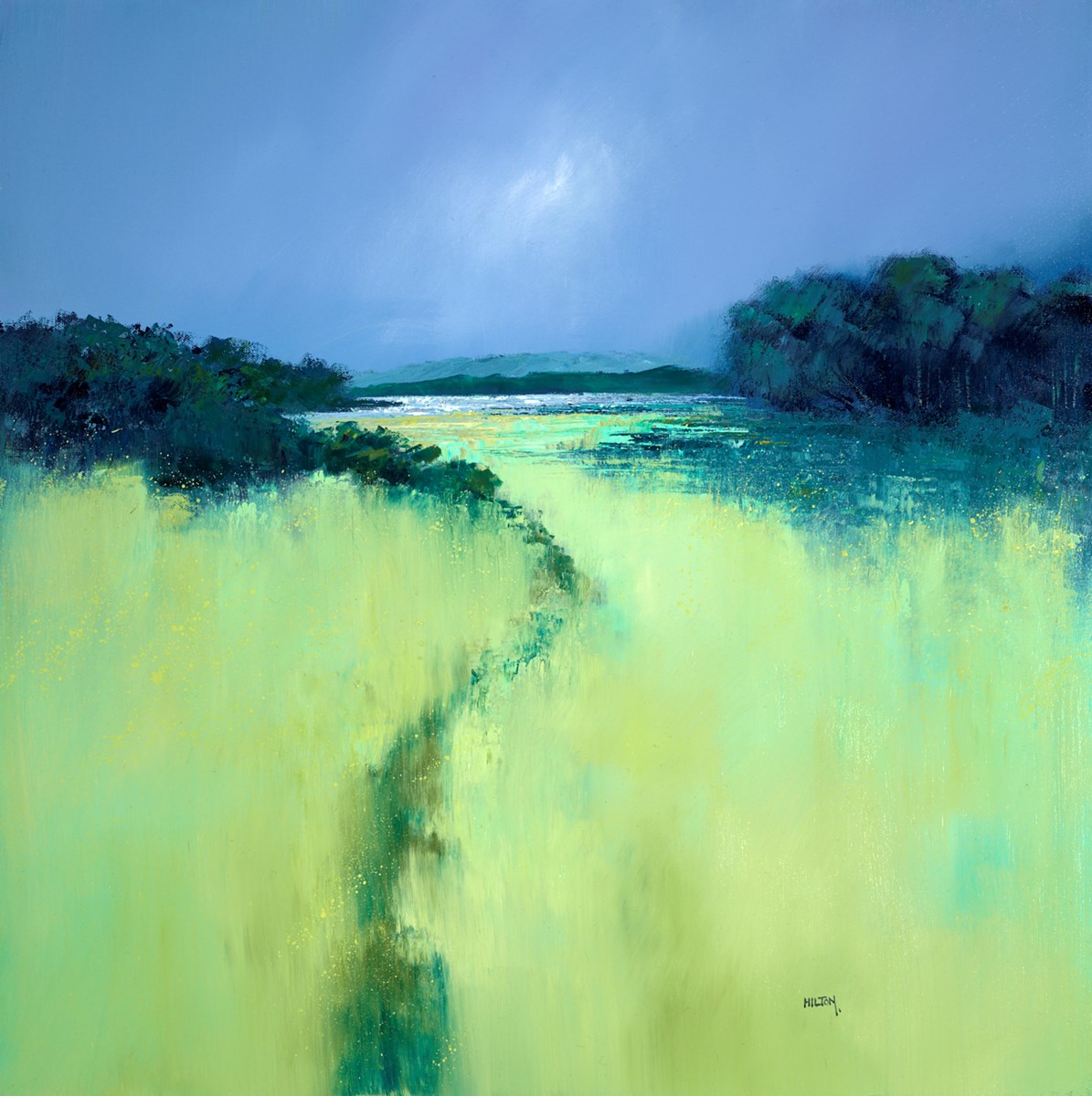 Hill Rise