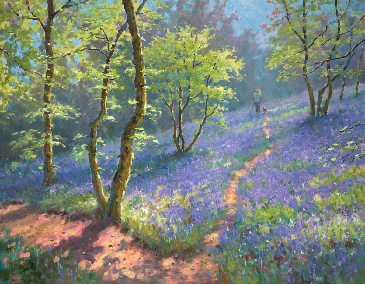 Bluebells
