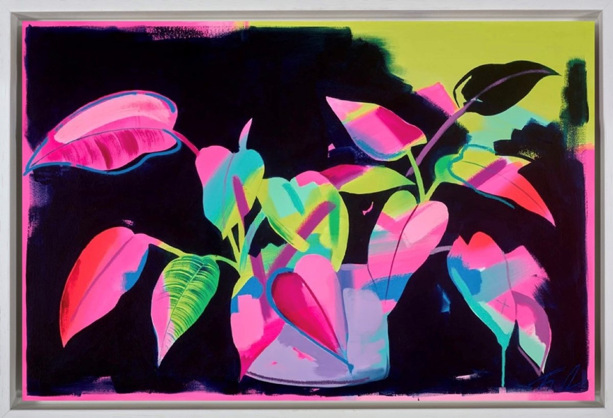 Pothos at Night (Framed)