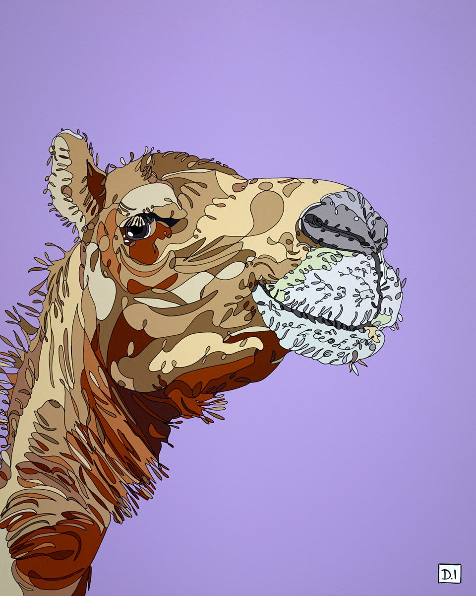 Camel
