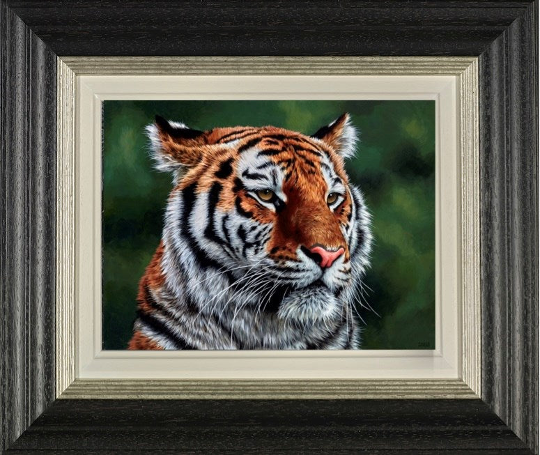 Eye of The Tiger (Framed)