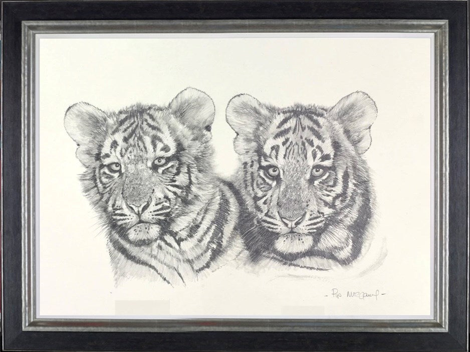 Tiger Cubs Sketch (Framed)