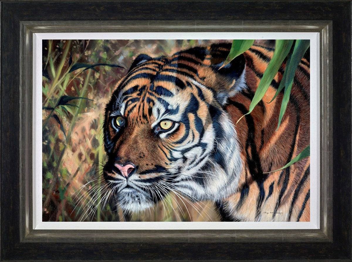 In the Shadows (Framed)
