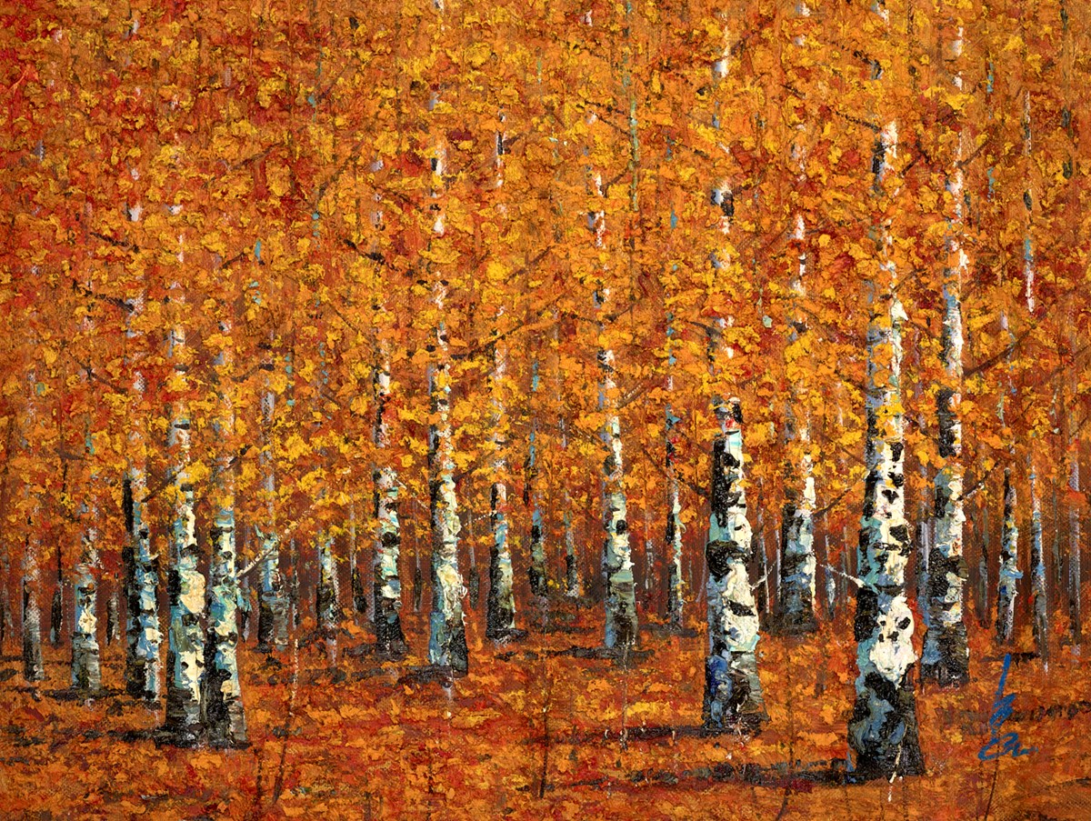 Beautiful Birches