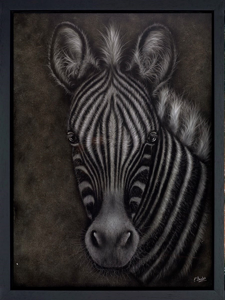 Just Curious (Framed)