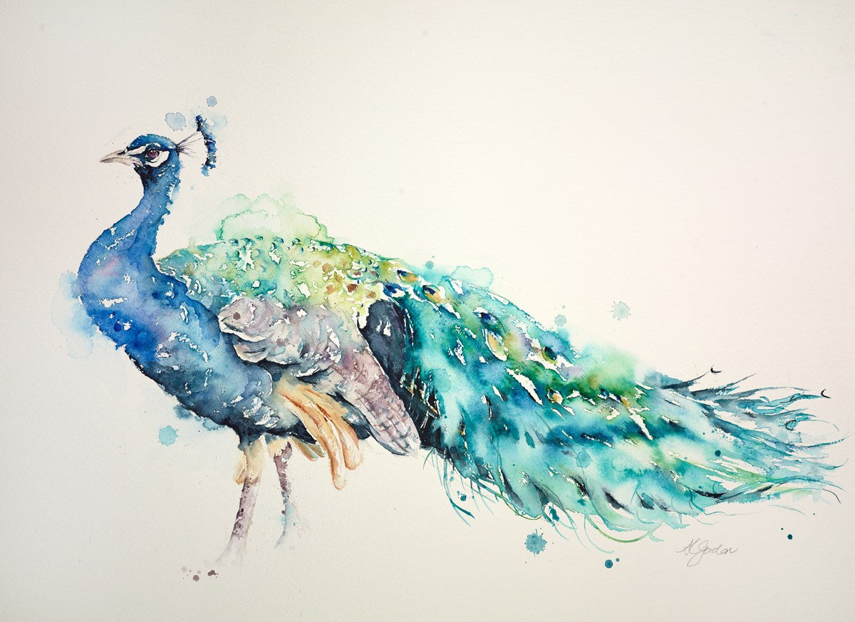 Peacock Beauty