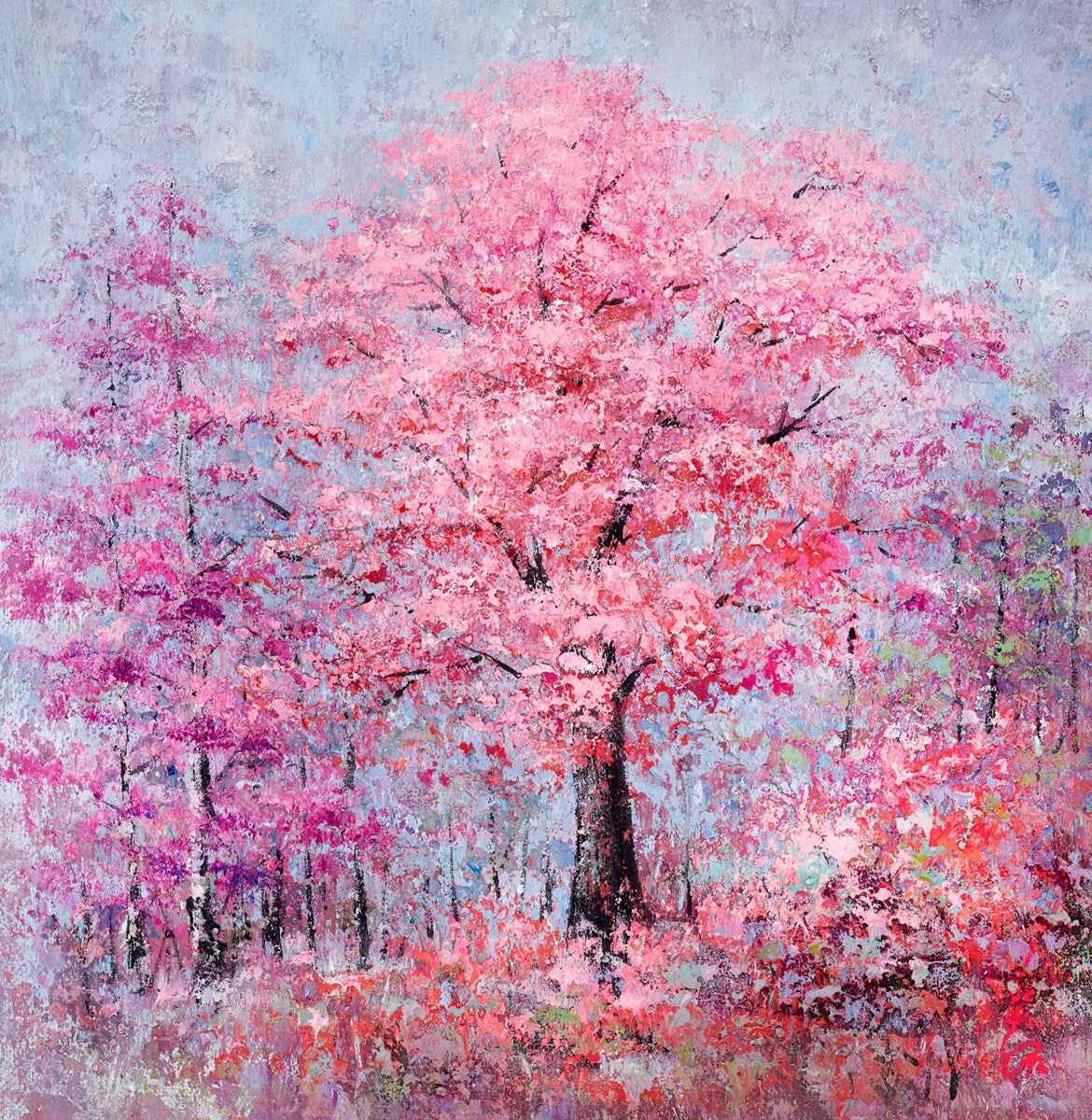 Blossom Dream