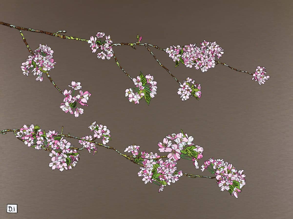 Pink Cherry Blossom II