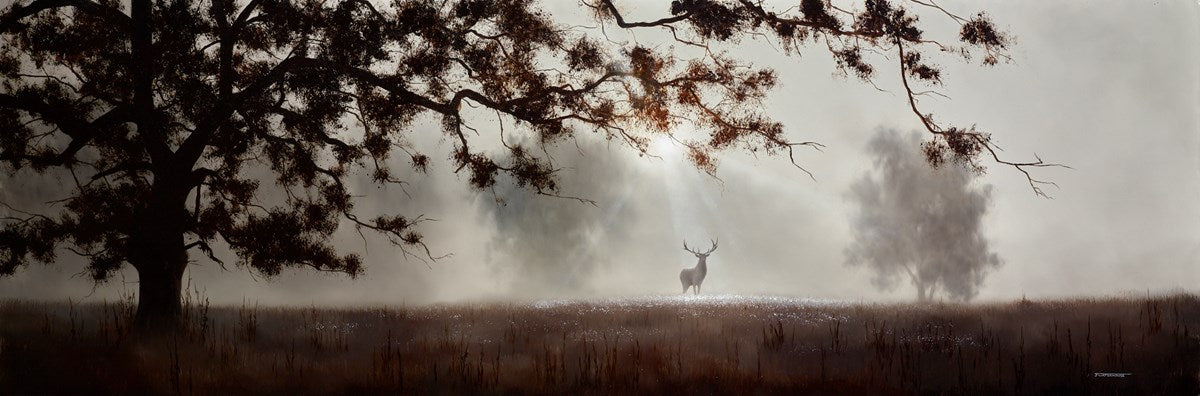 The Fleeting Glimpse