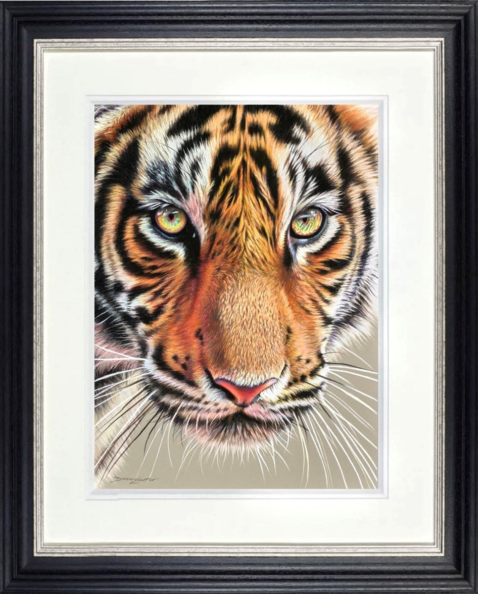 Tiger Eyes (Framed)
