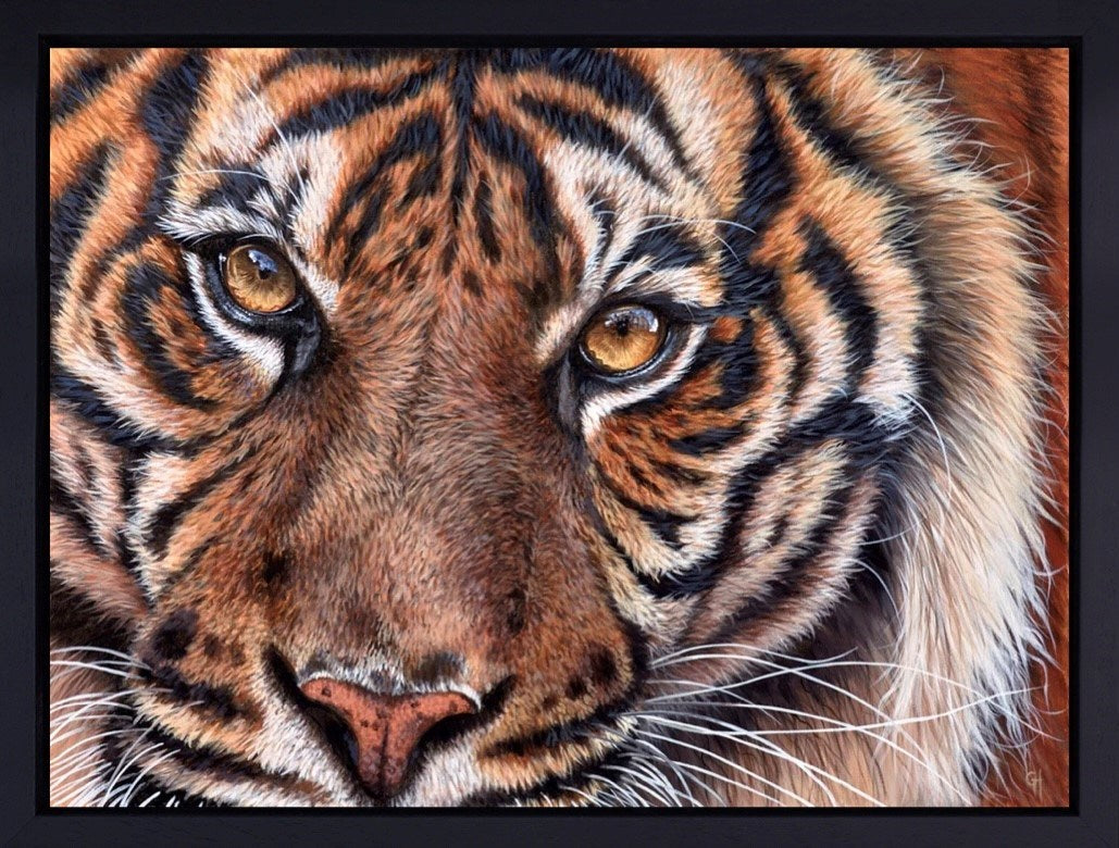 The Eyes Never Lie... (Framed)