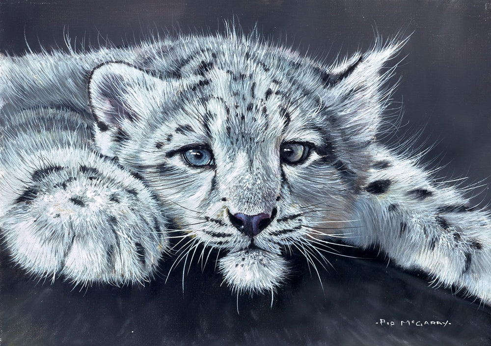 Snow Leopard Cub