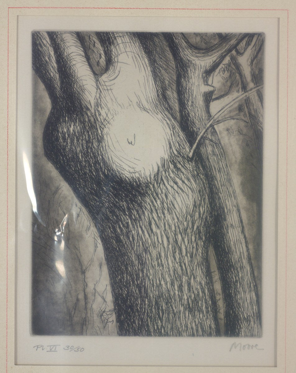 Trees VI: Dead Ash