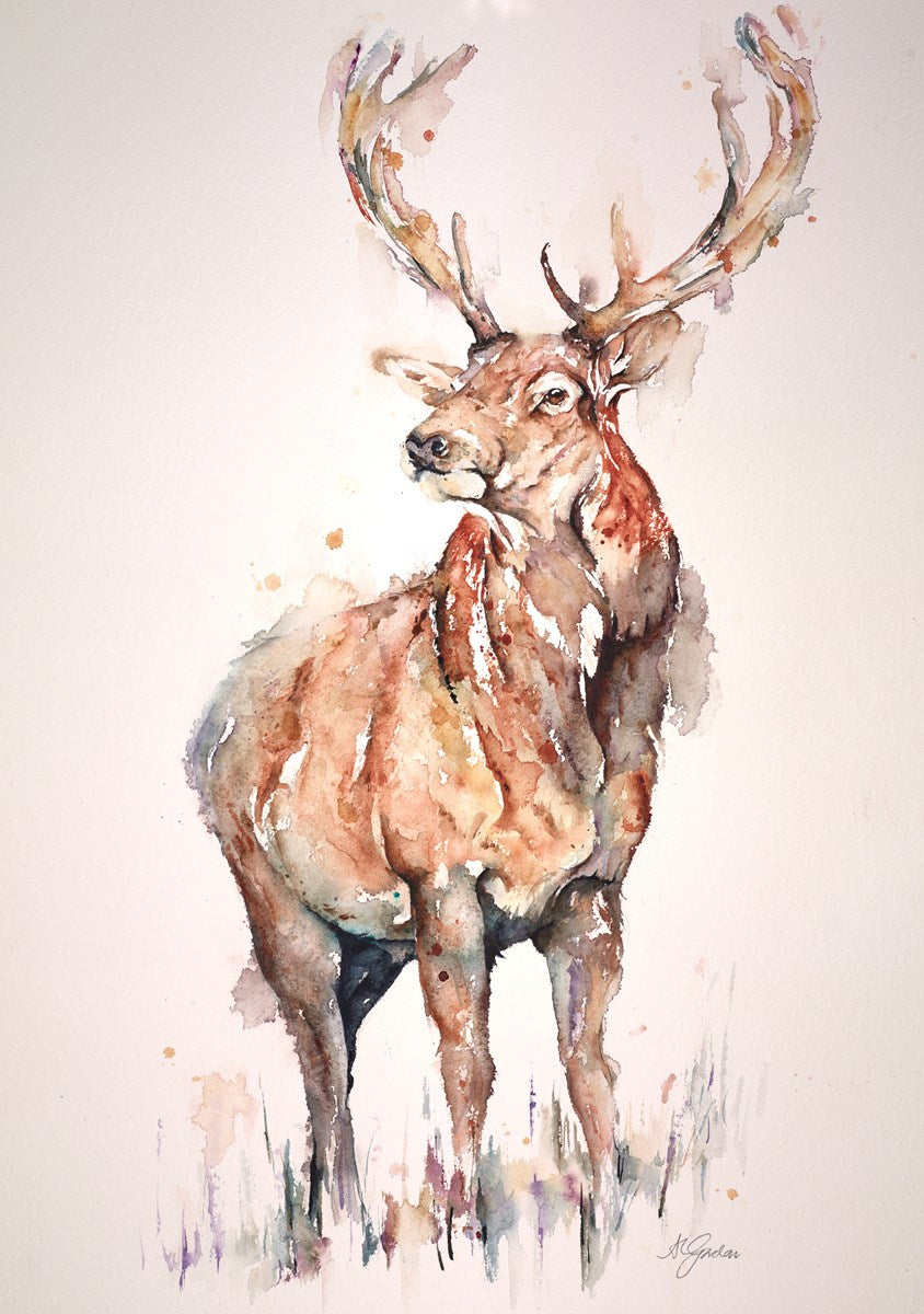 Red Sovereign - Full Red Stag
