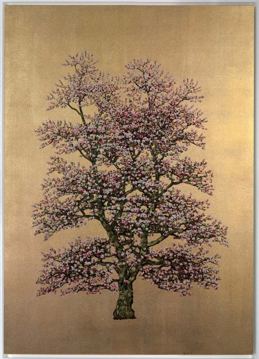 Woodland Beauty II (Framed)