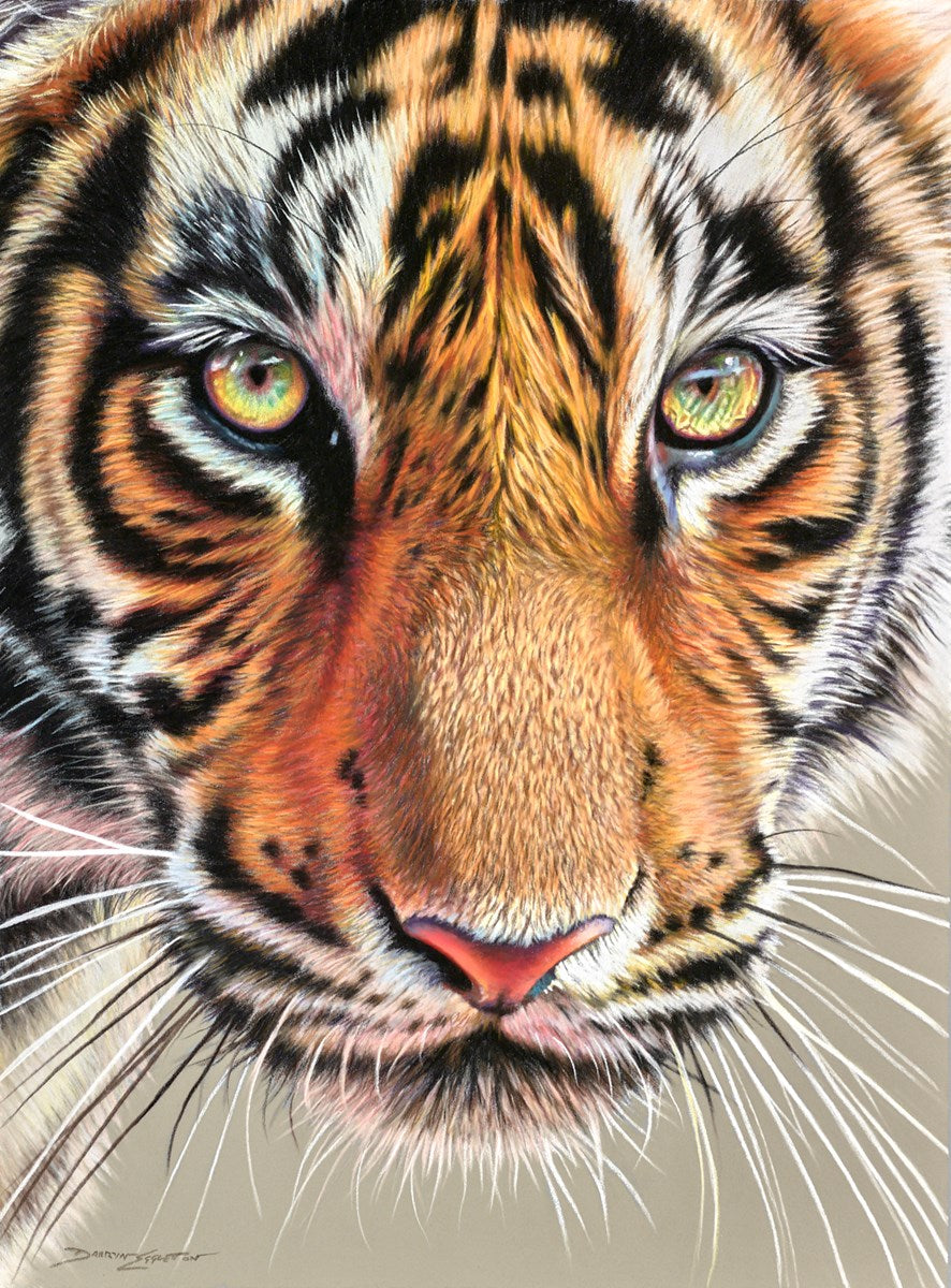 Tiger Eyes