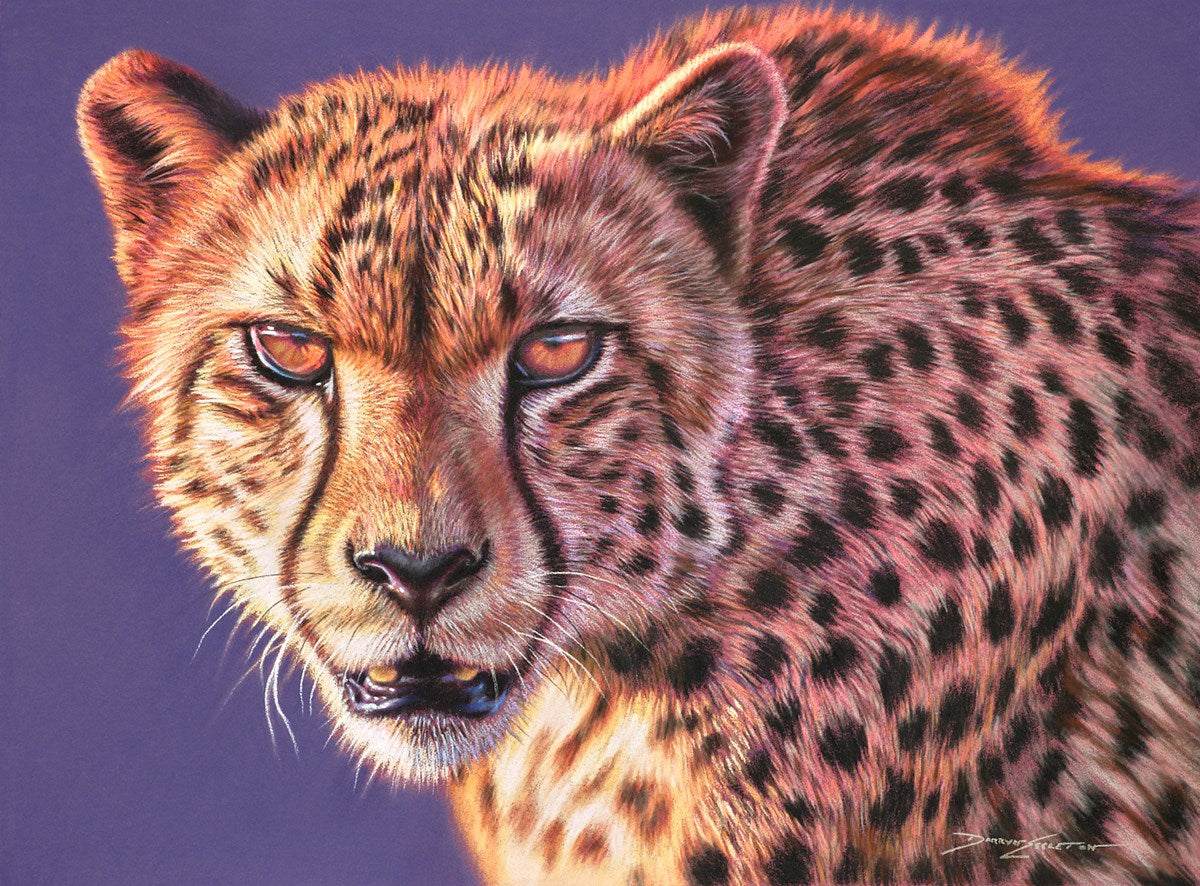 Cheetah Glare
