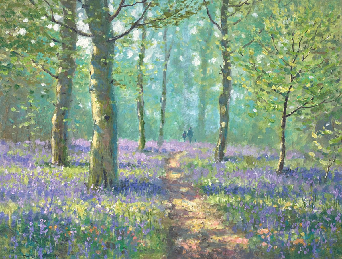 Bluebell Walk II