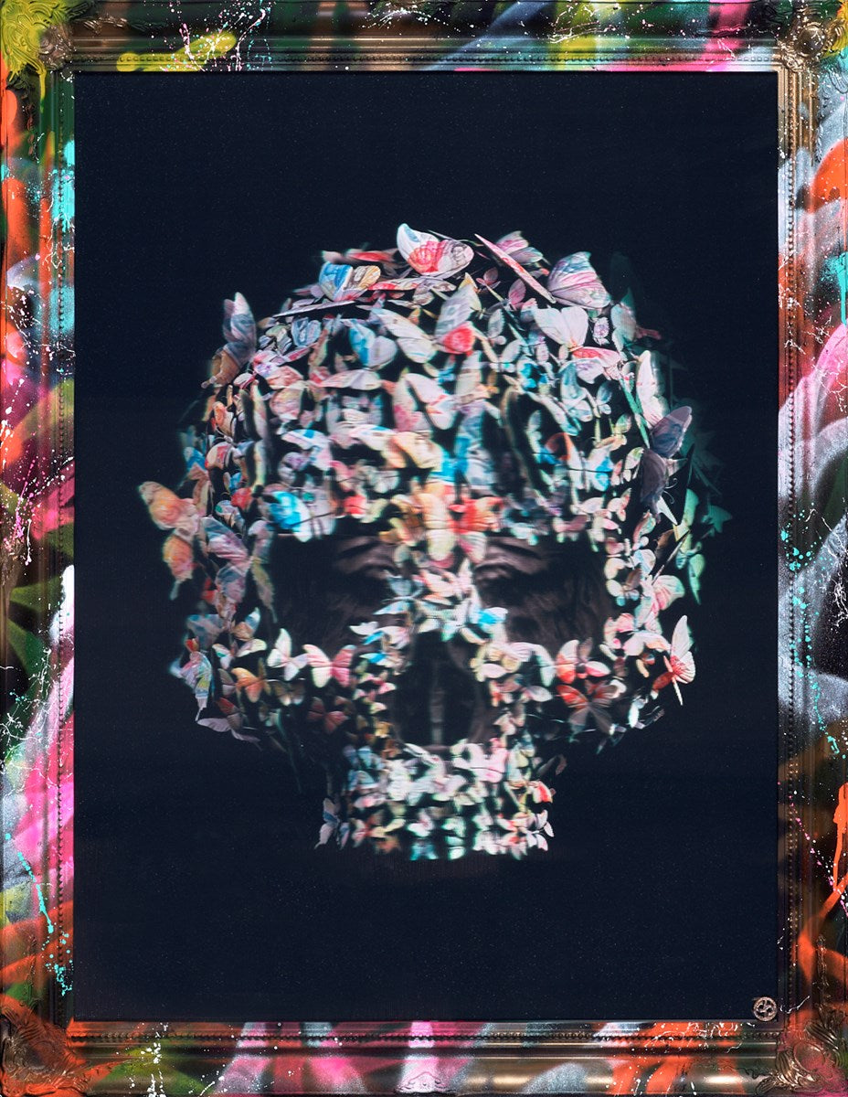 Moneyflies Skull
