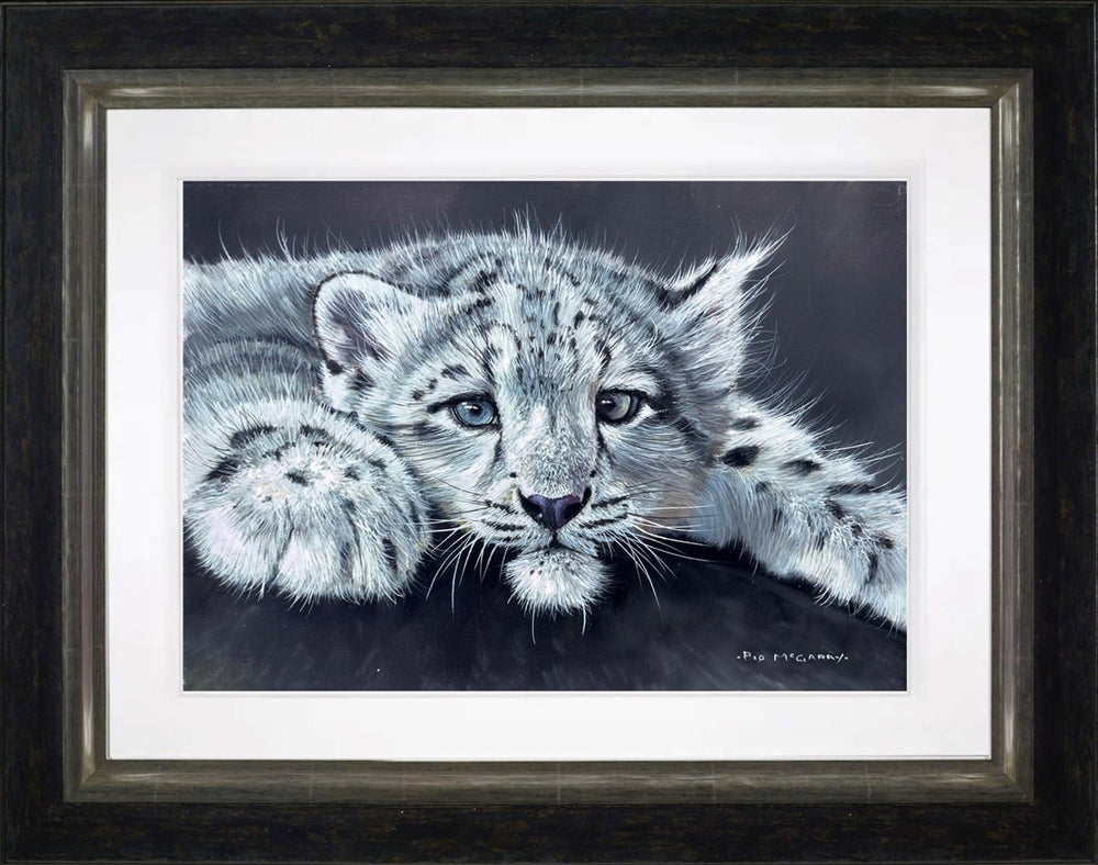 Snow Leopard Cub (Framed)