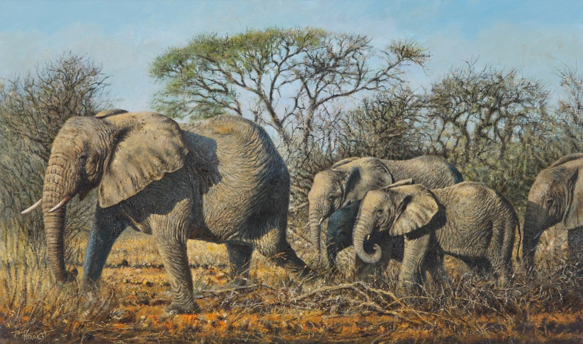 Elephants in Etosha