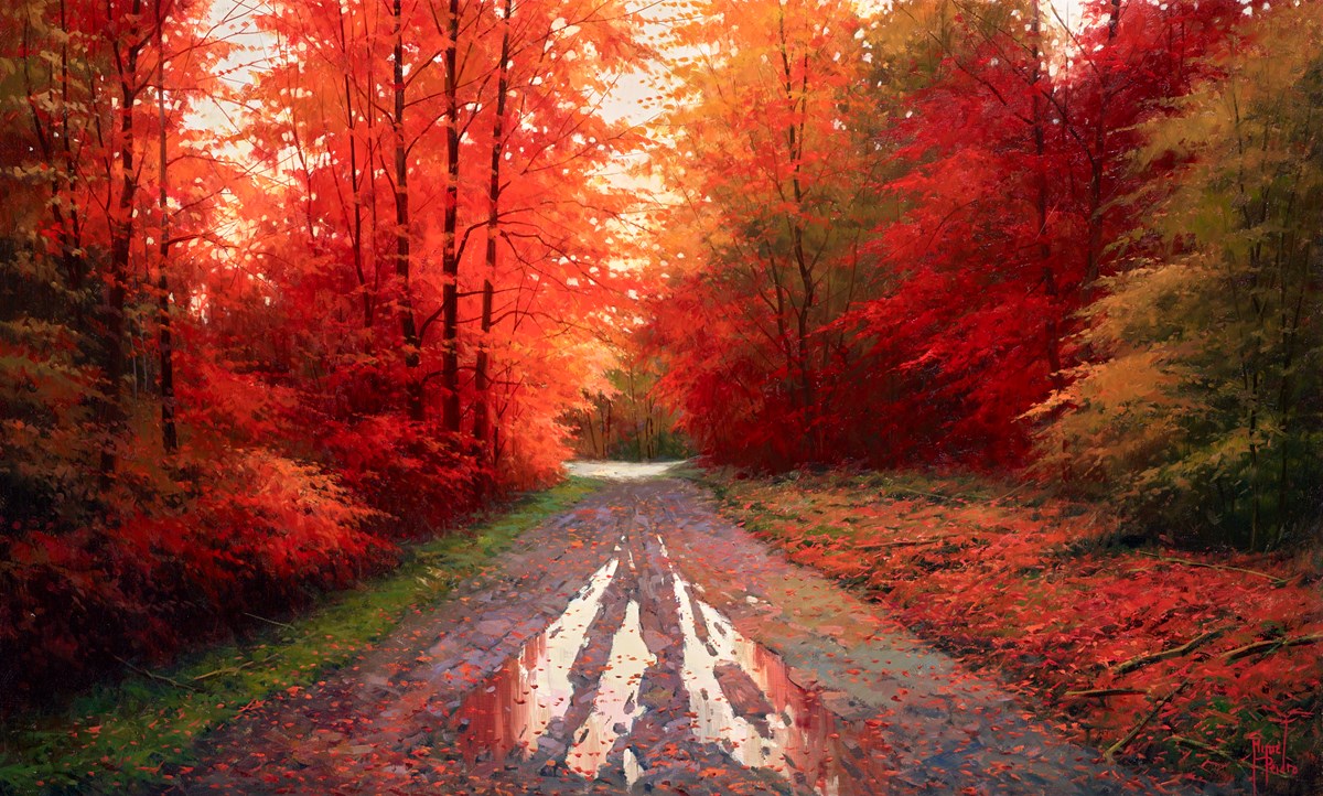 Un Paseo Otoñal