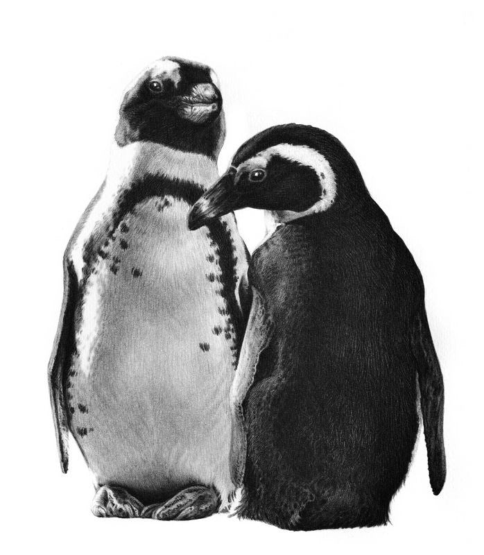 Just the two of us (penguin)