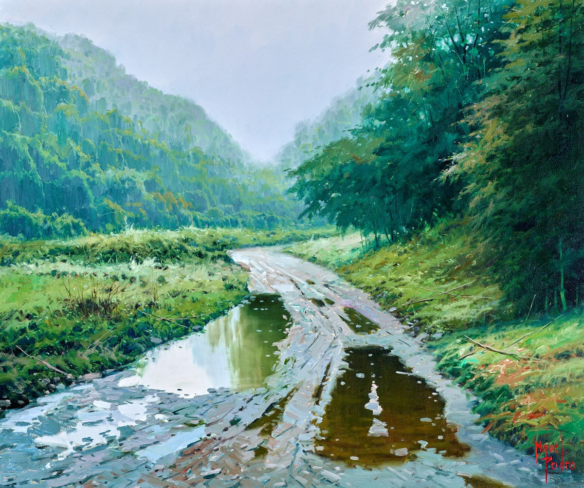 Lluvia en el valle de Baztan