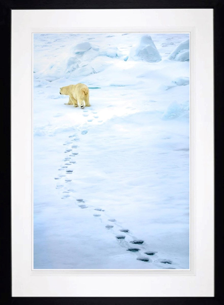 The Path Less Trodden (Framed)