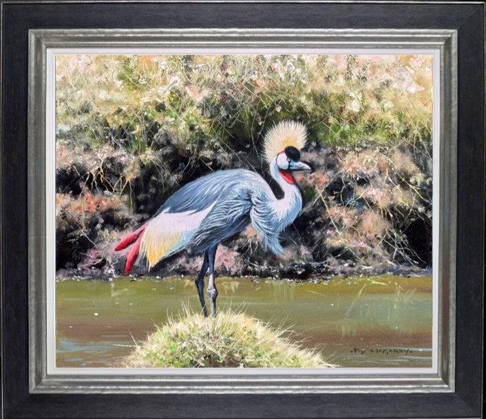 Crowned Crane (Framed)