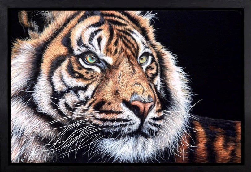Relaxing Tiger (Framed)