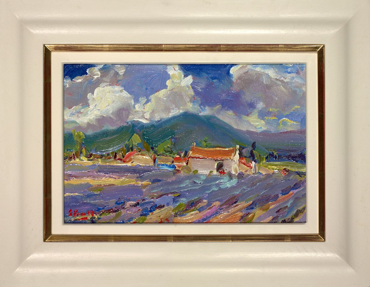 Lavender in Provence, near Sault