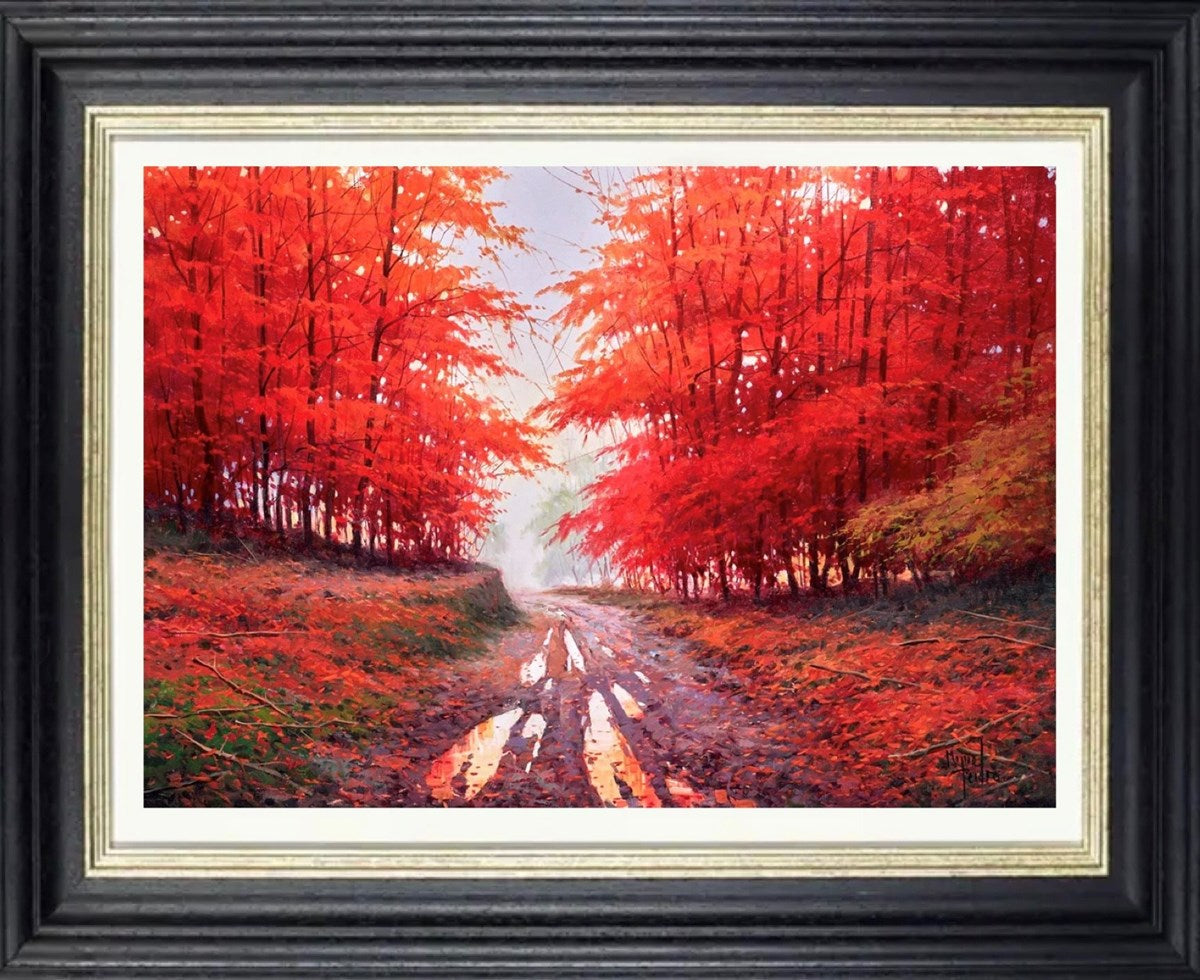 Otoño en Navarra (Framed)
